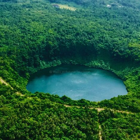 Le Kava, boisson sacrée de Wallis et Futuna